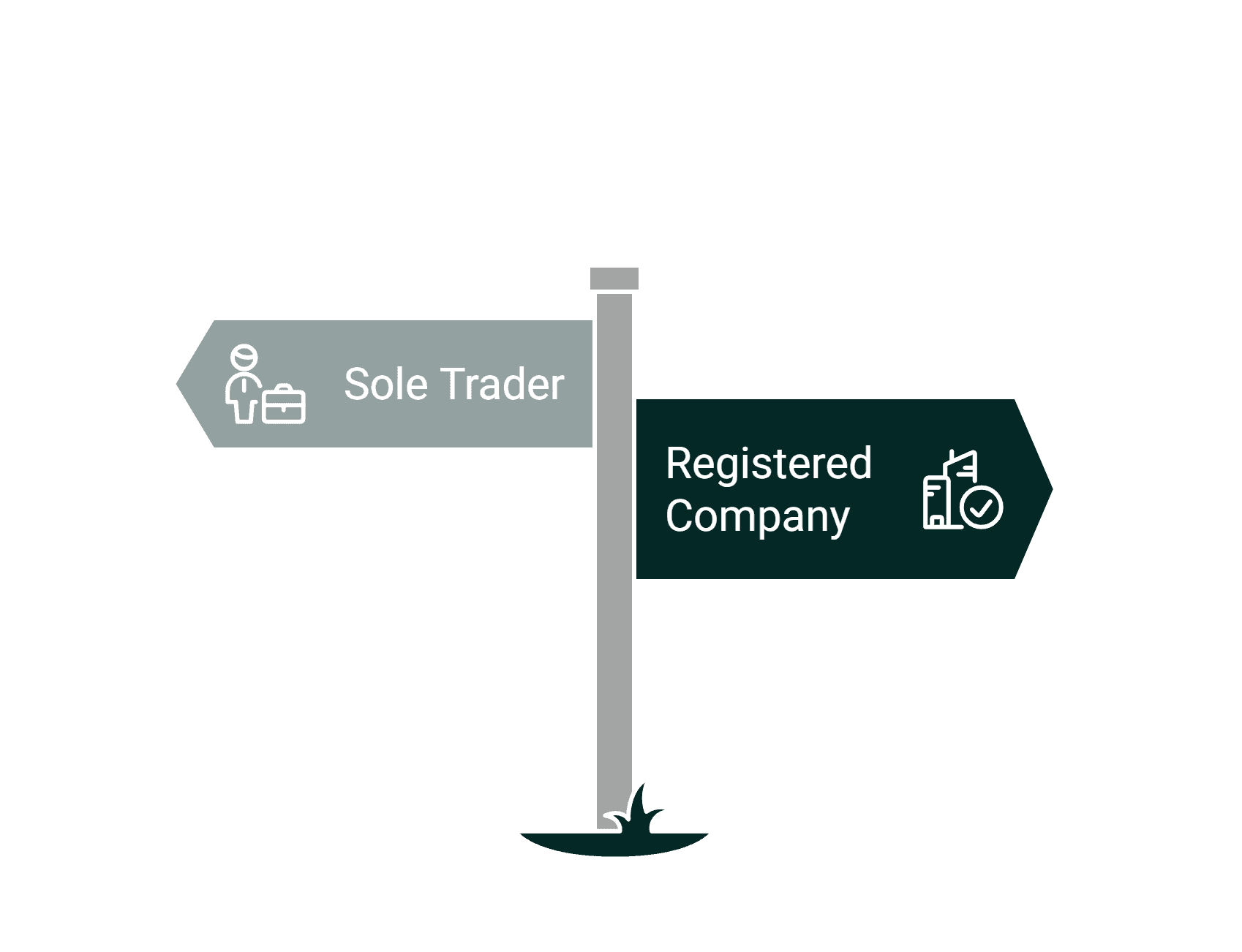 Sole Trader vs Company