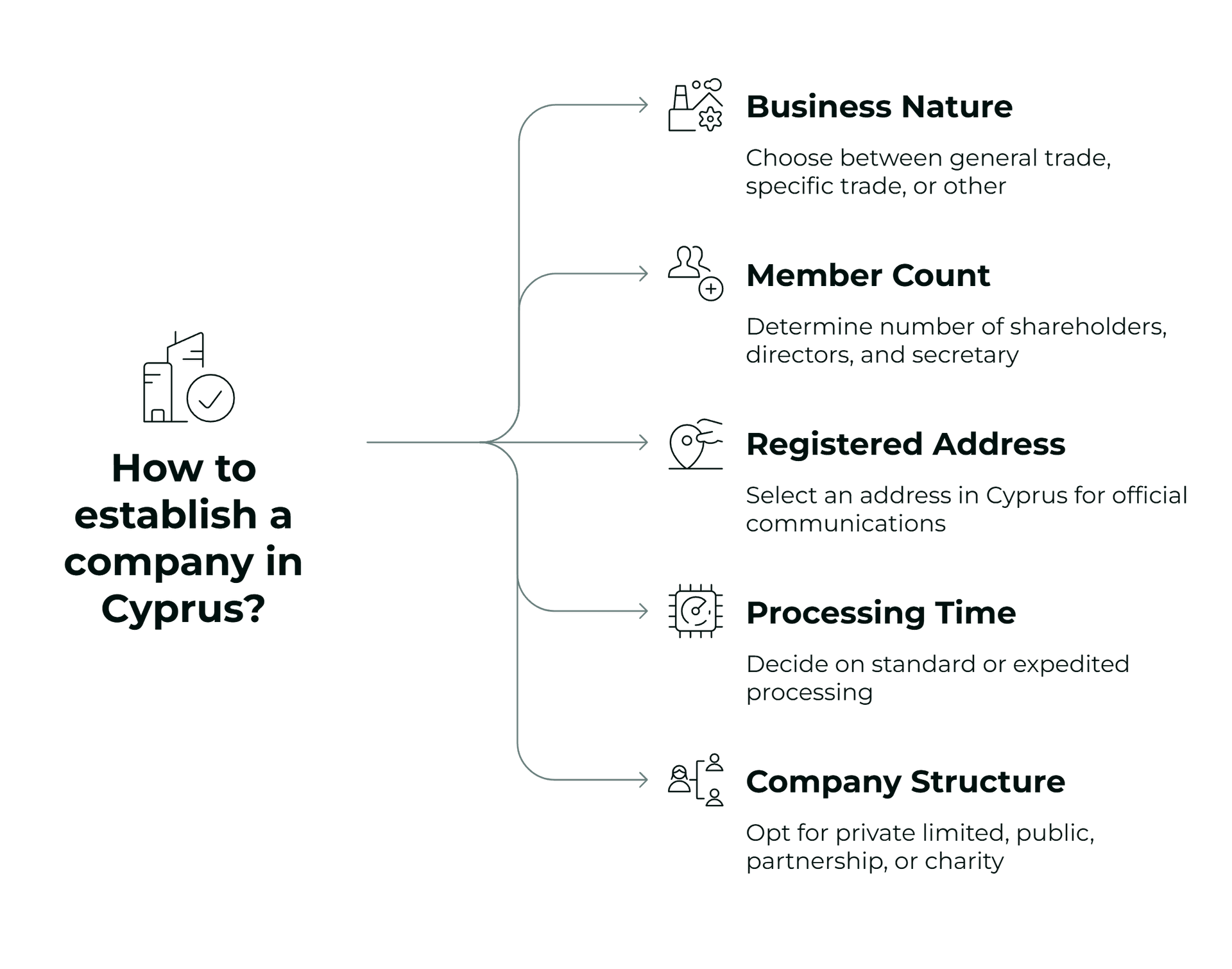Steps to Establish Company