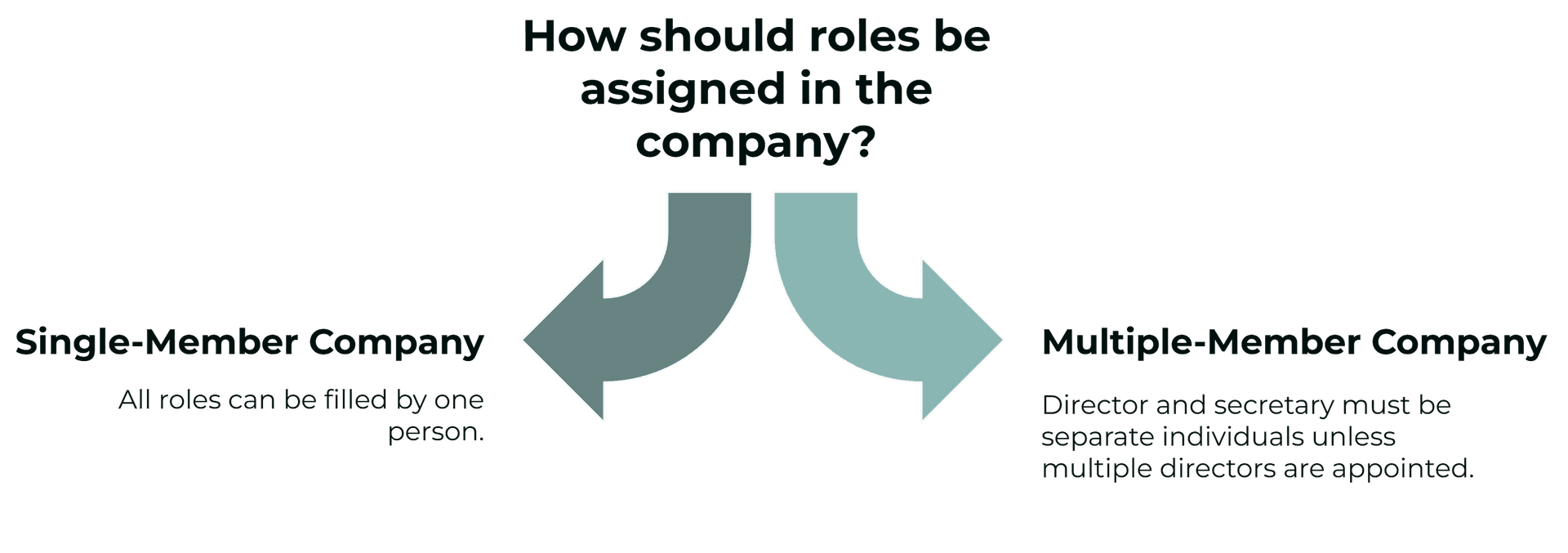 Company Roles